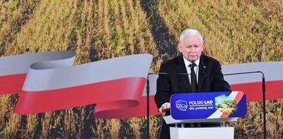 Obietnice Kaczyńskiego dla wsi. Co o tym sądzą rolnicy? "Kaczyński nie jest reprezentantem wsi"