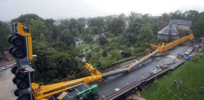 Ale runął! Wypadek jakich mało. FOTO