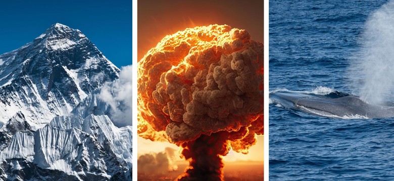 Łatwy QUIZ z wiedzy ogólnej. 12/15 albo wracaj do szkoły