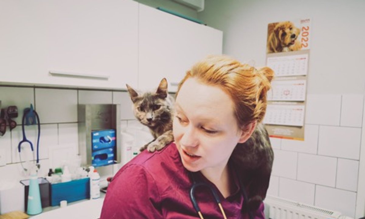 Ciemna strona weterynarii. "Raz na dwa miesiące ktoś się zabija"