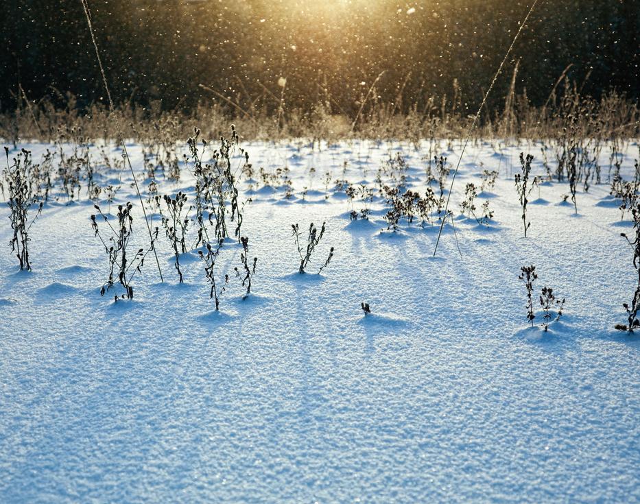 Leeshet az első hó / Illusztráció: Northfoto