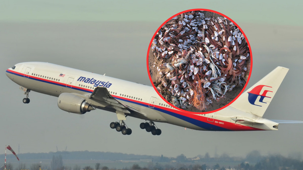 Twierdzą, że mogą wskazać miejsce katastrofy MH370. Nastąpi przełom?