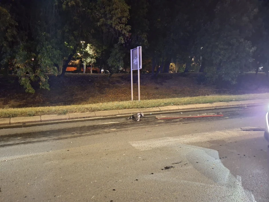 Darko Lazić i Katarina imali udes