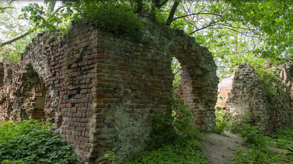 Ruiny zamku w Jelczu, gdzie przebywał Henryk IV Probus.