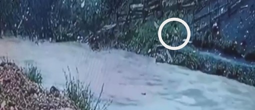 Jedan dečak ostaje sam na obali