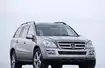 Mercedes-Benz w USA: modele ML, GL i R w wersji BlueTEC