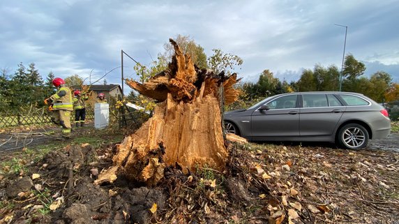 Połamane drzewa i gałęzie. Strażacy usuwają skutki silnego wiatru