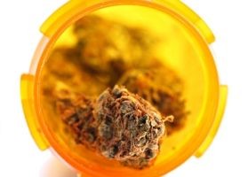 marihuana-d00000CA61b275c986935
