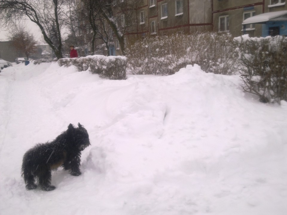 Tarnowskie Góry po opadach śniegu, Fot. MEGAN42/Daj znać!