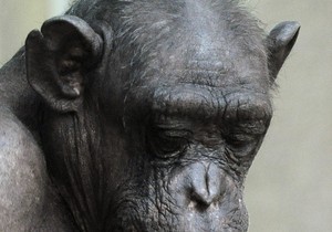 125726_107-reuter-radovan-stoklasa