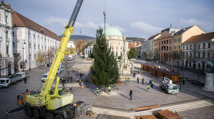 A dzsámi előtt, a Széchenyi téren kapott helyet a Budáról hozott karácsonyfa. /Fotó: MTI - Sóki Tamás