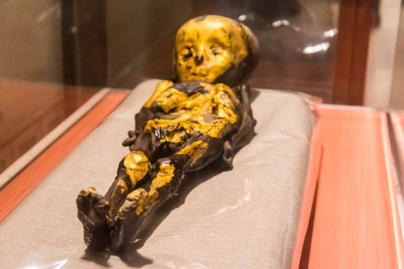 Starożytna mumia dziecka ze zbiorów Muzeum w Kairze