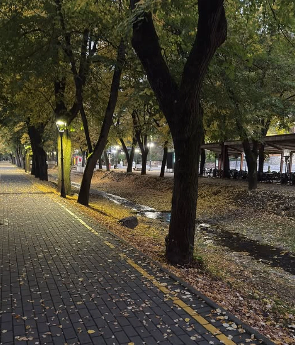 Dragana Mićalović, objava