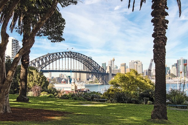 Unique Urban Gardens