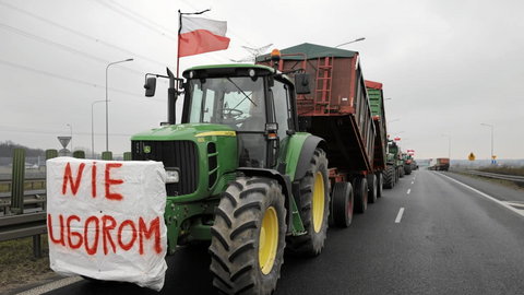 Rolnicy wywalczyli od UE - ugorowania nie będzie. To zła wiadomość dla nich i europejskiej przyrody