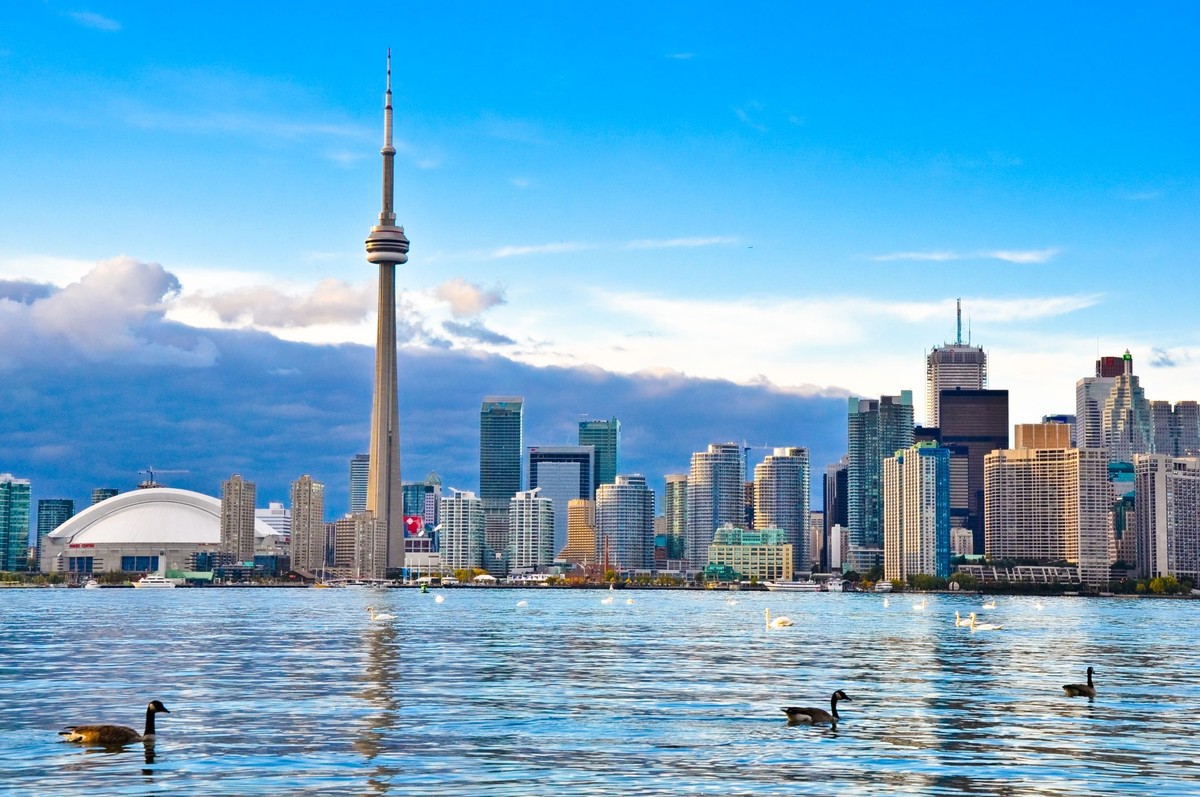 Jednym z problemów władz Toronto na przełomie wieków było zapewnienie bezpieczeństwa publicznego na osiedlu San Romanoway