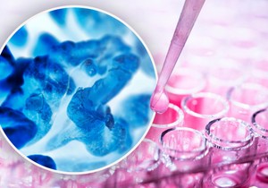 Nova terapija cilja ćelije raka i štiti zdravo tkivo