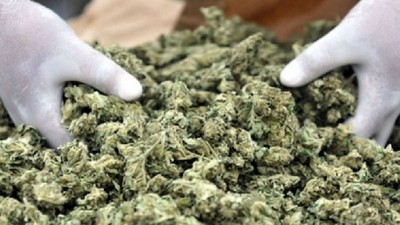 NDLEA officials seized cannabis imported from Canada and the United States (image used for illustration) [The Lagos Today]