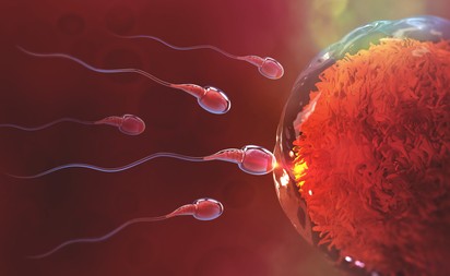 Petesejtfagyasztás: új eljárás, amivel bebiztosítható a terhesség