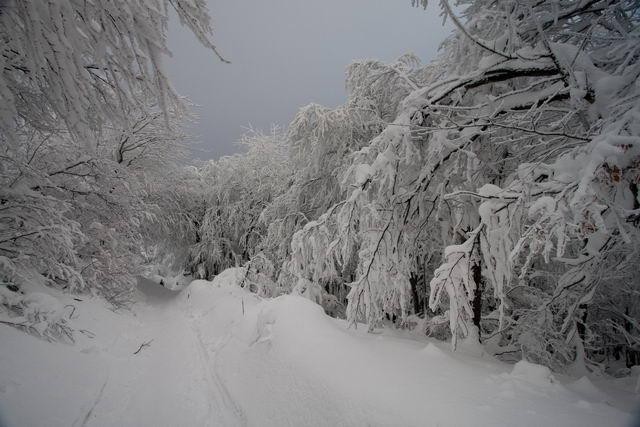 Galeria Polska - Bieszczady w zimowej szacie, obrazek 20