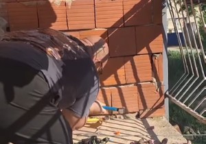 Vladica razbio zid da bi izvukao zmiju