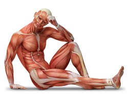 Jak dobrze znasz własne ciało? Pytanie nr 2 daje do myślenia. QUIZ