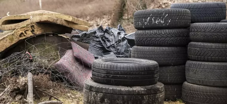 11 tys. zużytych opon i 31 ton odpadów. Wolontariusze oczyścili polskie lasy