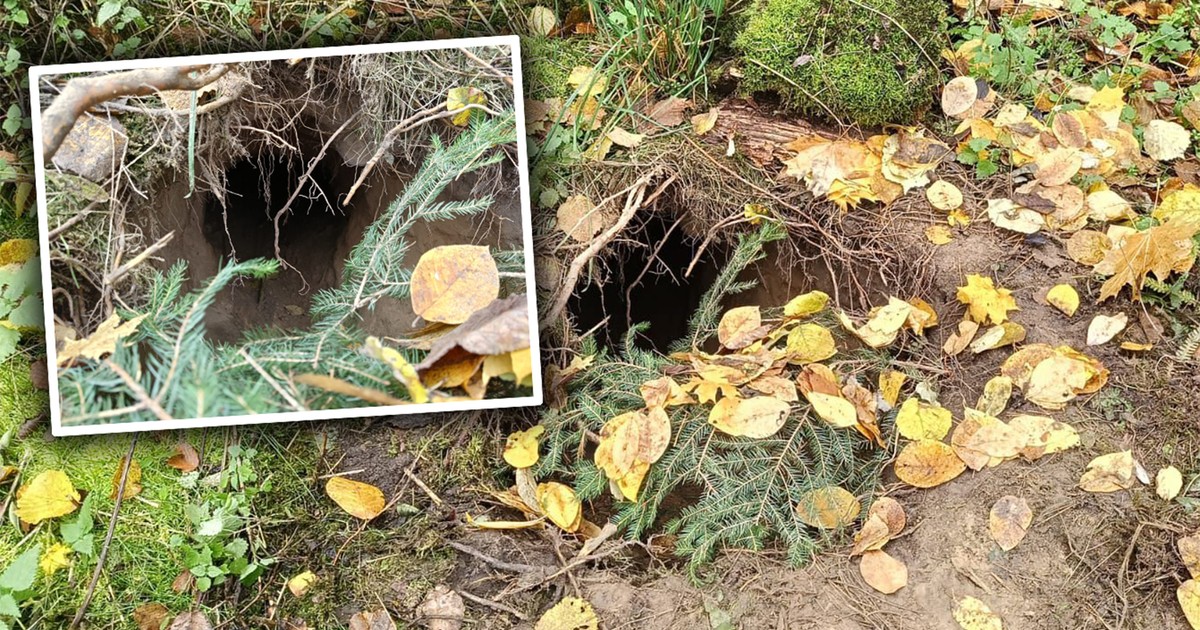 Niepokojące odkrycie przy granicy z Białorusią. Minister Kierwiński pokazał zdjęcia