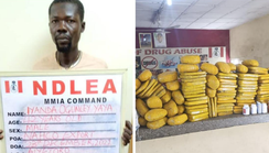 NDLEA intercepts Colorado, cannabis juice consignments in Lagos