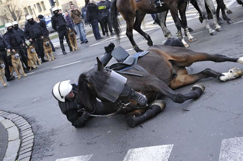 Koń poniósł policjanta