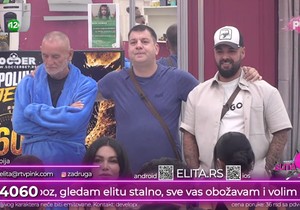 Lepi Mića