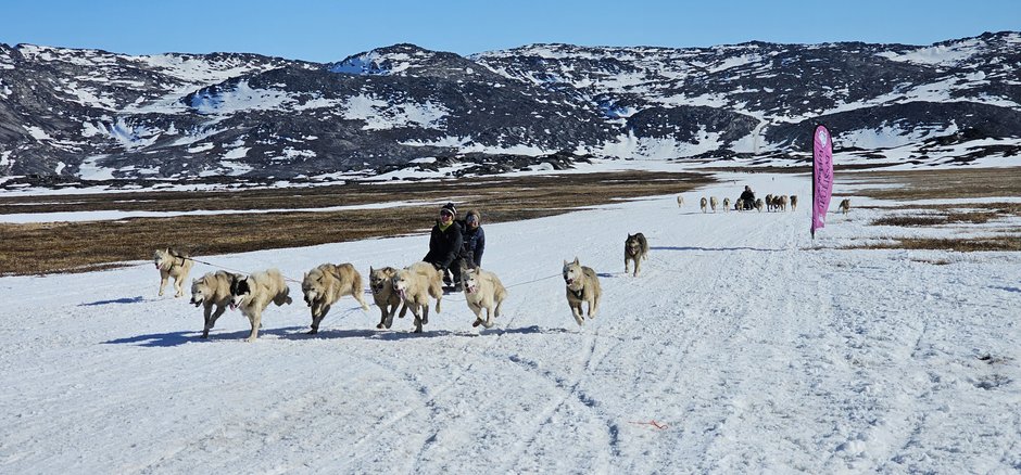 Wyścig psich zaprzęgów