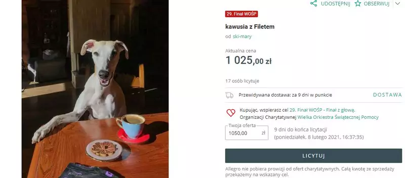 Kawusia z filetem wesprze konto WOŚP, fot. https://allegro.pl/oferta/kawusia-z-filetem-10175484149