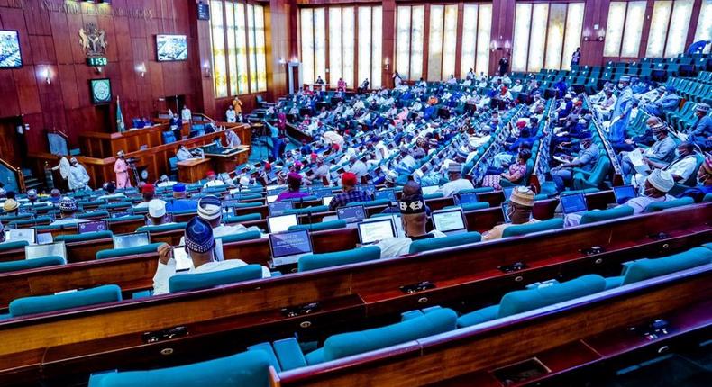 Lawmakers during plenary in the Federal House of Representatives chamber [Twitter/@NGRHouse]