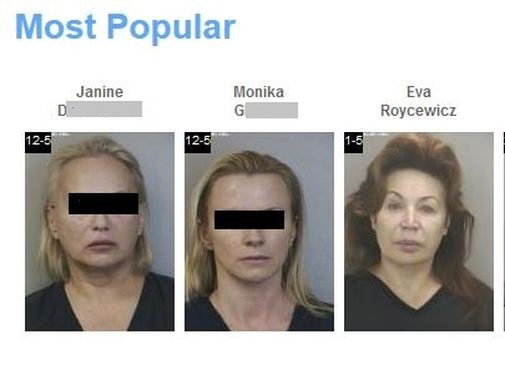 Policyjne zdjęcia Moniki G., Janina D. i Ewa Roycewicz w serwisie florida.arrests.org