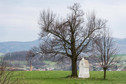 Teren Czech między polskimi miejscowosciami Świeradów Zdrój a Bogatynią