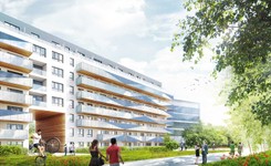 Mieszkanie na parterze – niedoceniana wygoda?