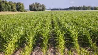 Rząd chce obniżyć VAT na nawozy i środki wspomagające uprawę