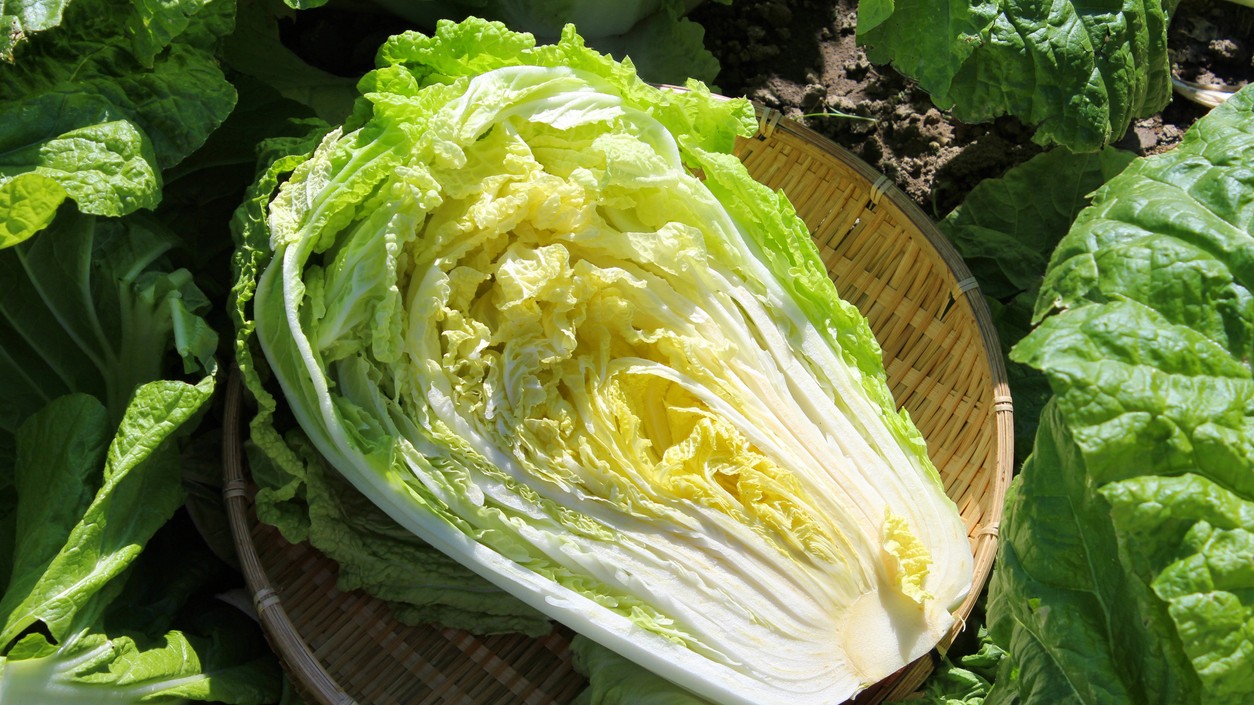 Majú vaše listy čierne bodky?