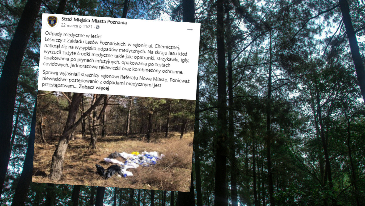 Poznań. W lesie znaleziono odpady medyczne 