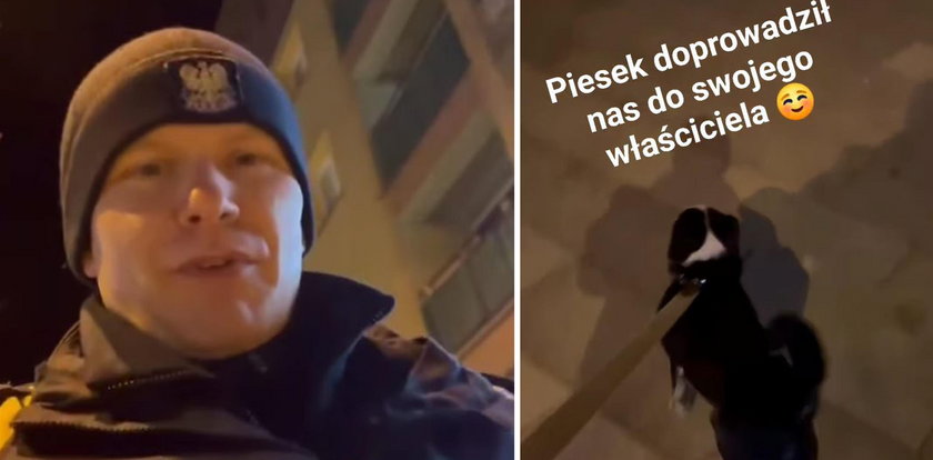 Kundelek zaprowadził policjantów do pani. Dlaczego zostawiła go przed sklepem?