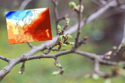 Jaka będzie wiosna 2024? Synoptycy przewidują duże anomalie. Prognoza długoterminowa