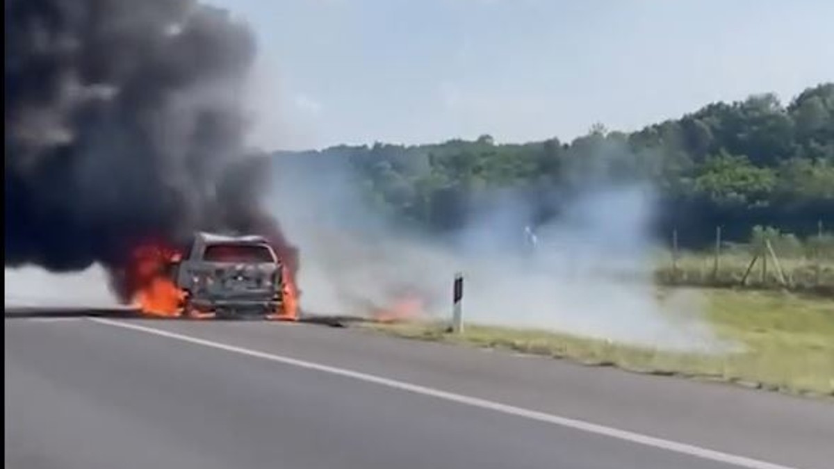 Gori automobil