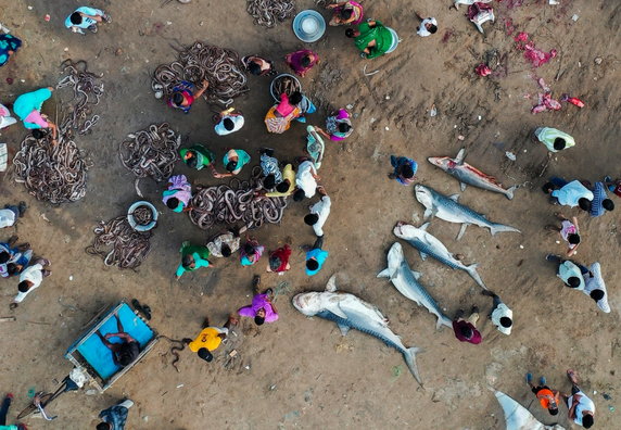 Zwycięzca kategorii "Cykl zdjęć" - "Empty seas and crowded shores” (Puste morza i zatłoczone brzegi), Srikanth Mannepuri