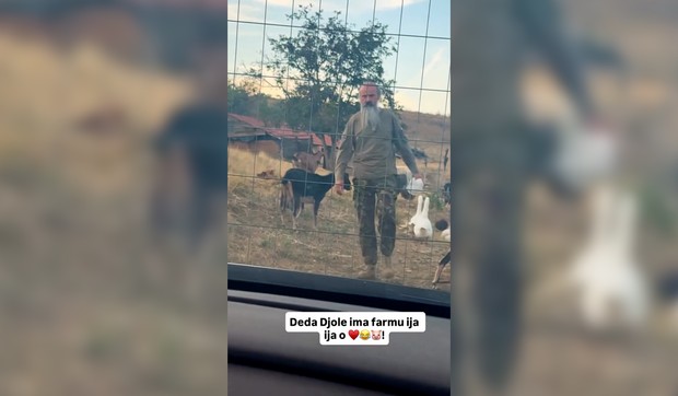 Karađorđe Subotić