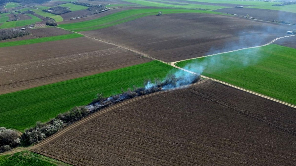 Spaljivanje strnjike, poljoprivrednog otpada i niskog rastinja u okolini Novog Sada