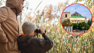 zmiany w prawie łowieckim w 2026 roku. dzieci będą mogły uczestniczyć w polowaniach