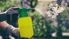 Die beliebtesten Drucksprüher von Gloria: Perfekt für Dünger, Wasser und mehr