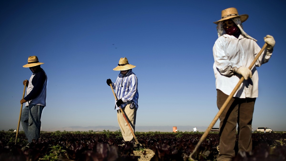 Farming For Wal-mart