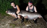 Sum gigant połknął haczyk. Dwie godziny męczyli się, żeby wyciągnąć wielką rybę